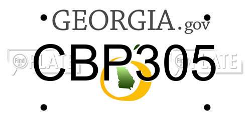 CBP305 Georgia License Plate