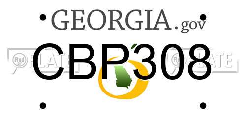 CBP308 Georgia License Plate