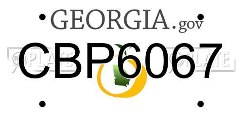 CBP6067 Georgia License Plate