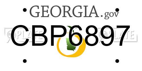 CBP6897 Georgia License Plate