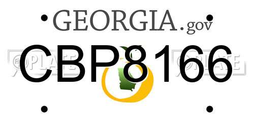 CBP8166 Georgia License Plate
