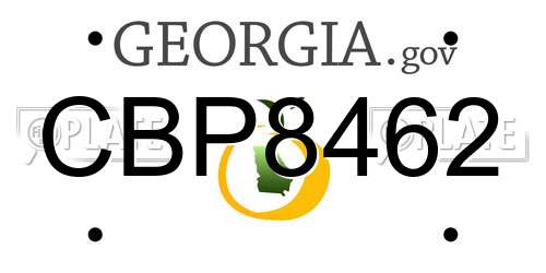 CBP8462 Georgia License Plate