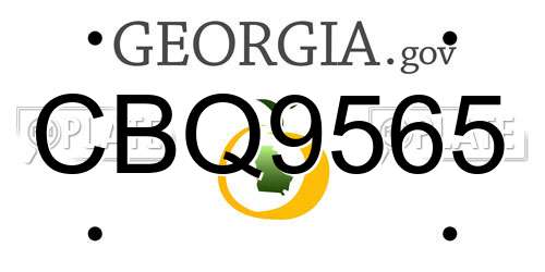 CBQ9565 Georgia License Plate