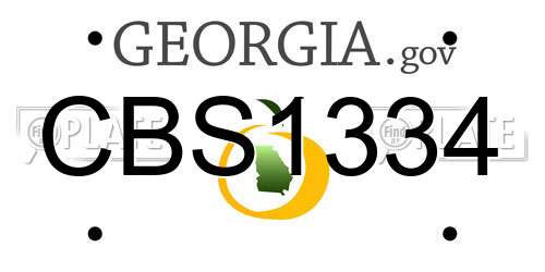 CBS1334 Georgia License Plate