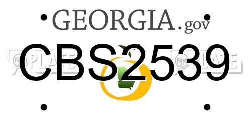 CBS2539 Georgia License Plate