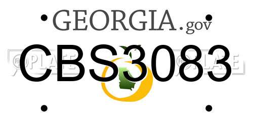 CBS3083 Georgia License Plate