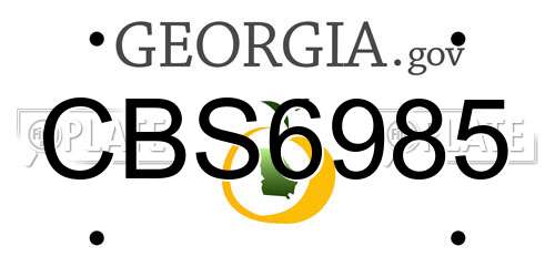 CBS6985 Georgia License Plate