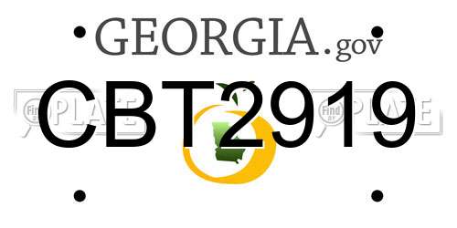 CBT2919 Georgia License Plate
