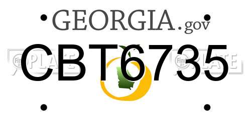 CBT6735 Georgia License Plate