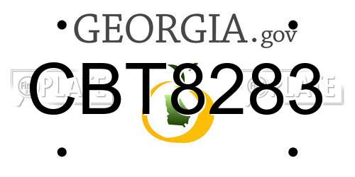 CBT8283 Georgia License Plate