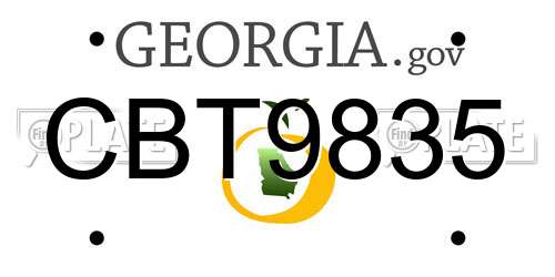 CBT9835 Georgia License Plate