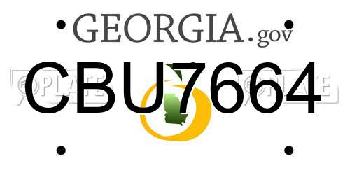 CBU7664 Georgia License Plate