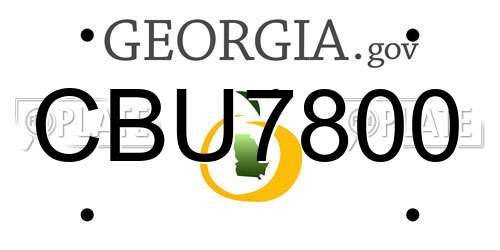 CBU7800 Georgia License Plate