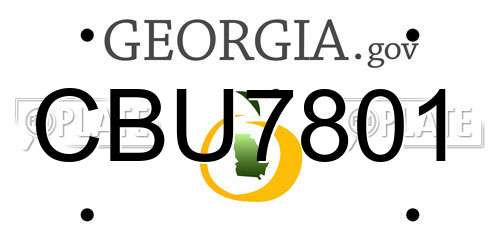 CBU7801 Georgia License Plate
