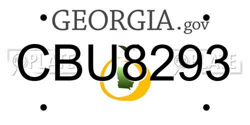 CBU8293 Georgia License Plate