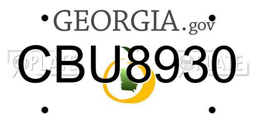 CBU8930 Georgia License Plate