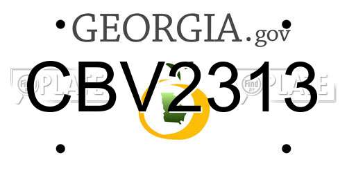 CBV2313 Georgia License Plate