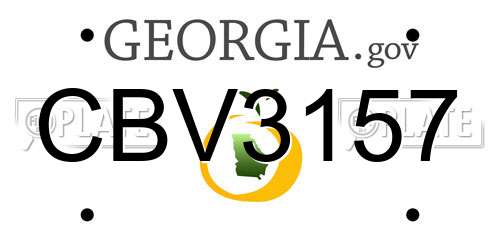 CBV3157 Georgia License Plate
