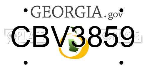 CBV3859 Georgia License Plate