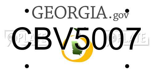 CBV5007 Georgia License Plate