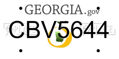 CBV5644 Georgia License Plate