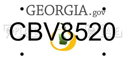 CBV8520 Georgia License Plate