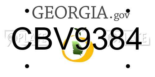 CBV9384 Georgia License Plate