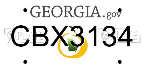 CBX3134 Georgia License Plate