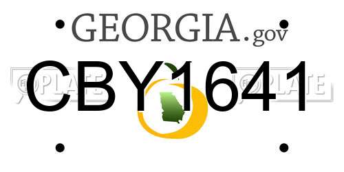 CBY1641 Georgia License Plate