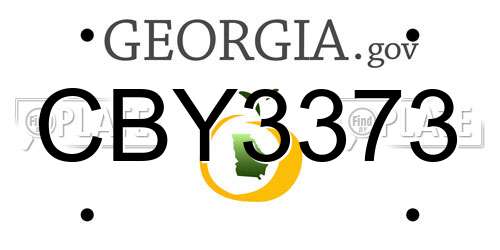 CBY3373 Georgia License Plate
