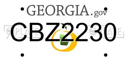 CBZ2230 Georgia License Plate
