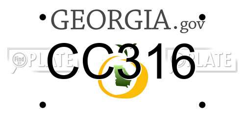 CC316 Georgia License Plate