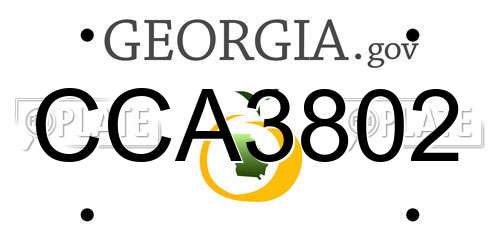 CCA3802 Georgia License Plate
