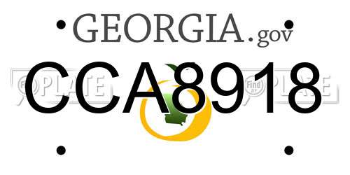 CCA8918 Georgia License Plate
