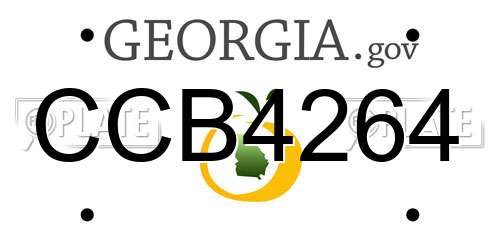 CCB4264 Georgia License Plate