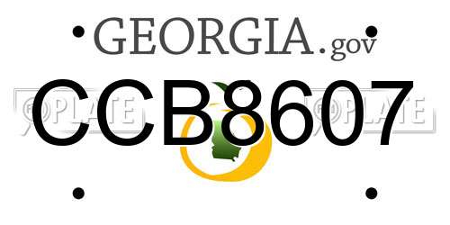 CCB8607 Georgia License Plate
