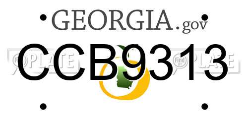 CCB9313 Georgia License Plate