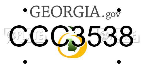 CCC3538 Georgia License Plate