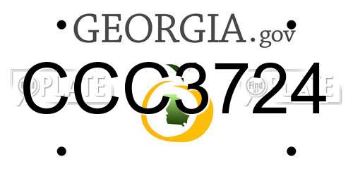 CCC3724 Georgia License Plate