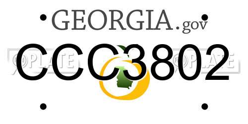 CCC3802 Georgia License Plate