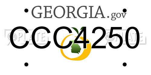 CCC4250 Georgia License Plate