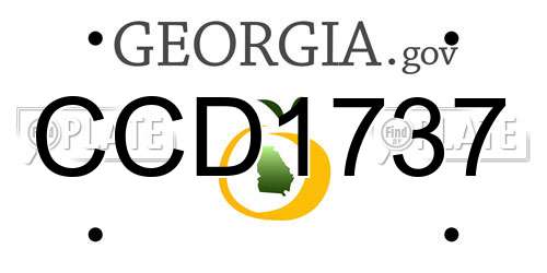 CCD1737 Georgia License Plate