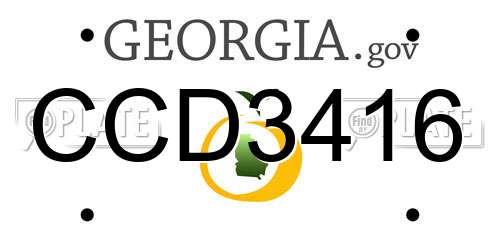 CCD3416 Georgia License Plate