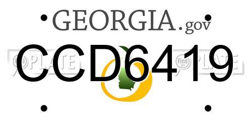CCD6419 Georgia License Plate