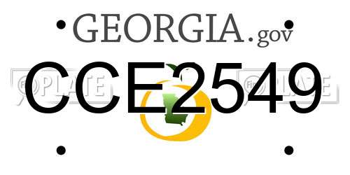 CCE2549 Georgia License Plate