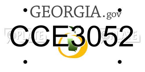 CCE3052 Georgia License Plate