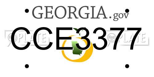 CCE3377 Georgia License Plate