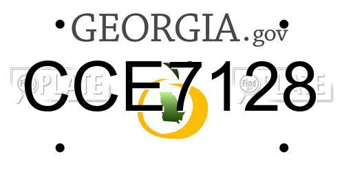 CCE7128 Georgia License Plate