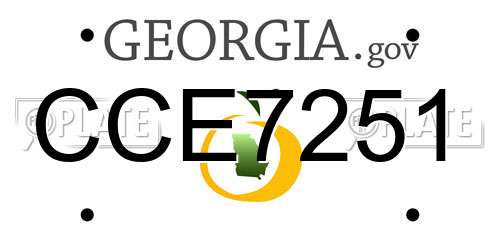 CCE7251 Georgia License Plate