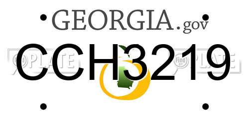 CCH3219 Georgia License Plate